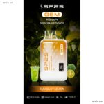 SP2S GEM 9000 Puffs拋棄式電子煙 一次性可充電電子煙 台灣現貨
