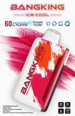 Bangking Ice Cool 60000 Puffs 拋棄式電子煙 五檔涼度可調一次性電子煙 新品上市
