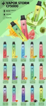 VAPOR STORM 5000 PUFFS 拋棄式電子煙 飛霧發光一次性電子煙桿