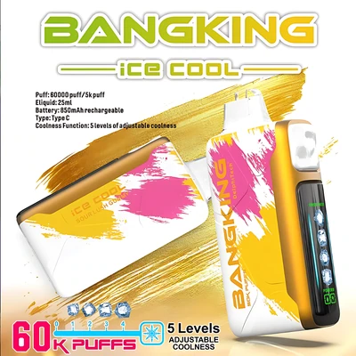 BANGKING Ice Cool 60000 口拋棄式電子菸 拋棄式電子煙 產品實拍 3